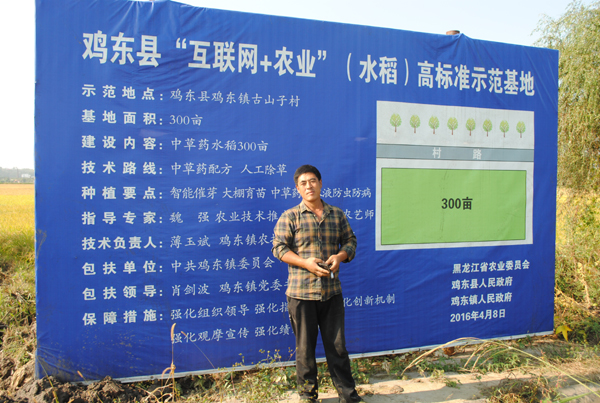 鸡东县家和水稻专业种植合作社中草药年份米